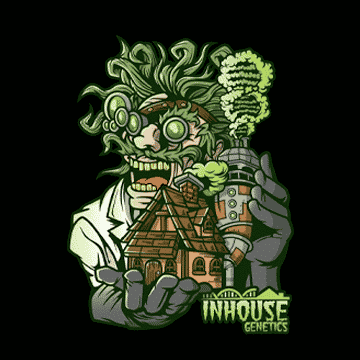 In House Genetics - Sour Mints - 6 Regular seeds