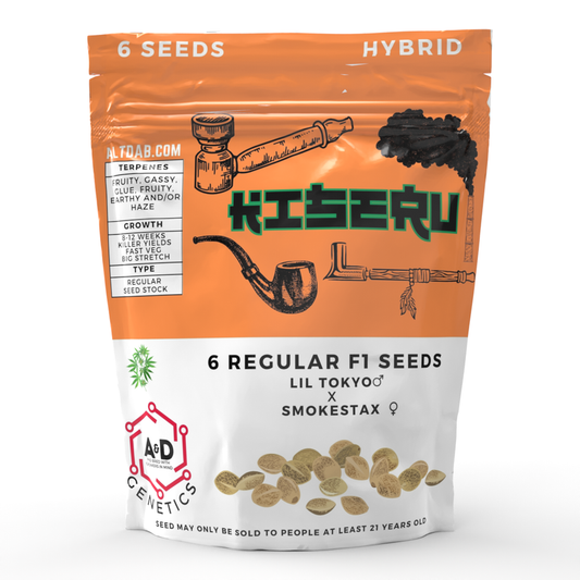 A+D Genetics - Kiseru 6 Regular Seeds