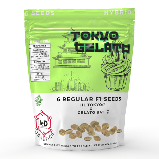 A+D Genetics - Tokyo Gelato 6 Regular Seeds