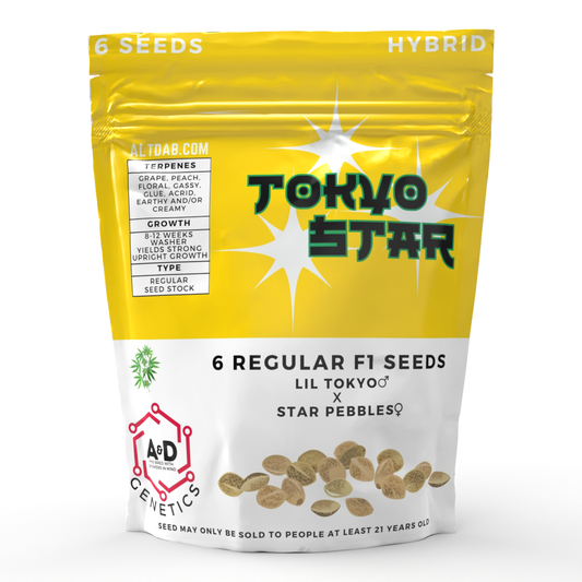 A+D Genetics - Tokyo Star 6 Regular Seeds