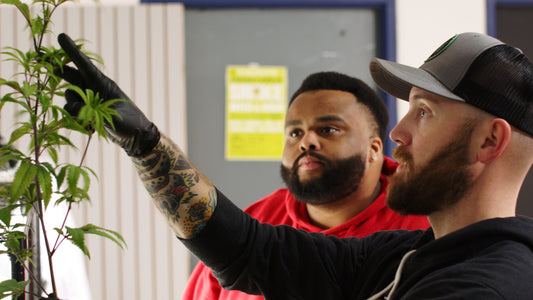 Microbusinesses: Get a Grow!