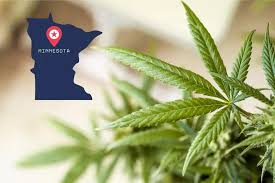 The Case for the Microbrewery of Weed