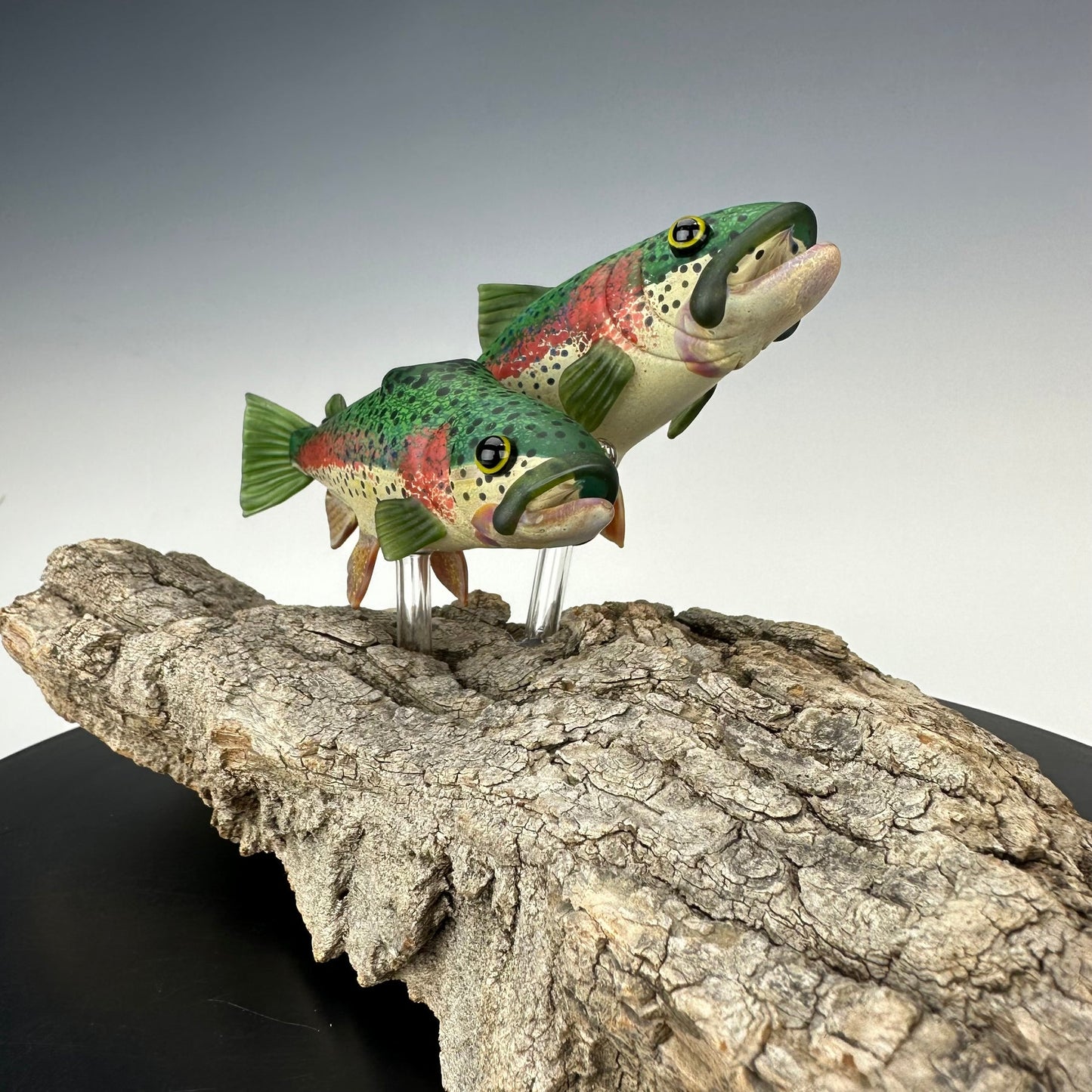 Trapper Fish Rig Display