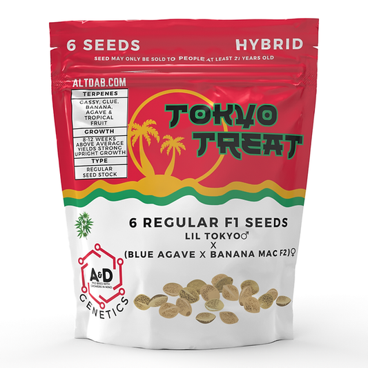 A+D Genetics - Tokyo Treat 6 Regular Seeds